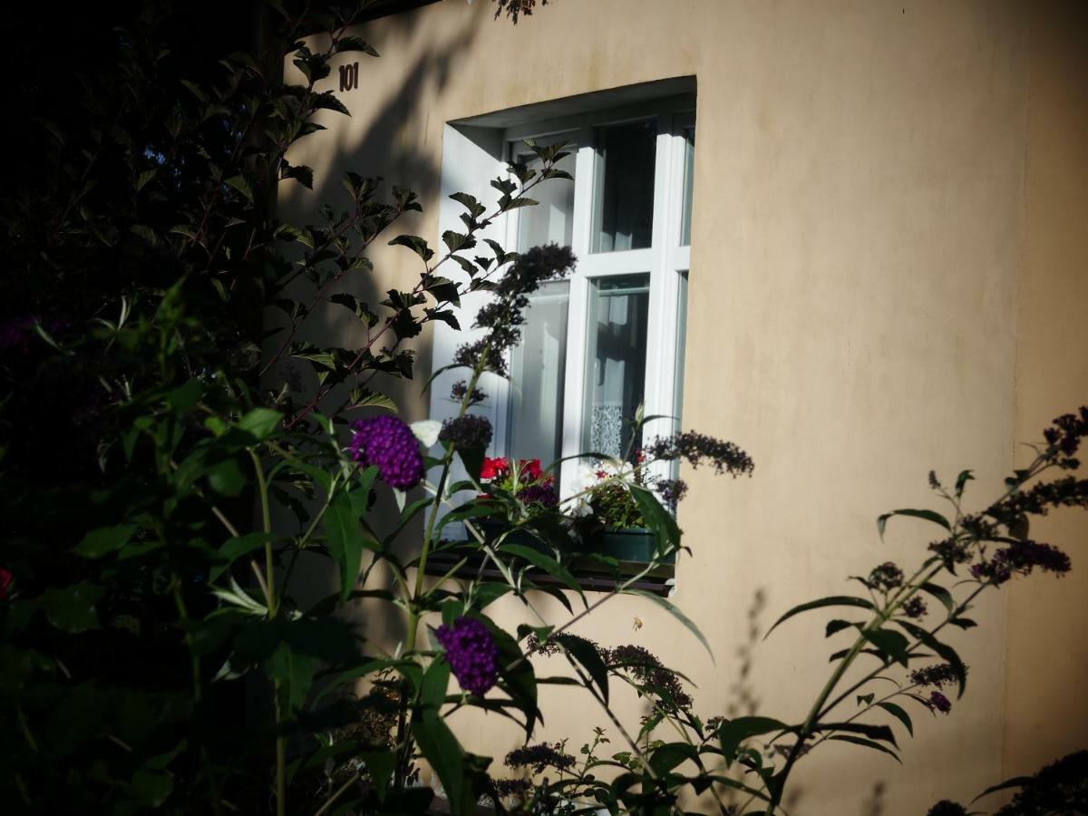 Venkovske Apartmany Tiche Pastviny Kamenicky Senov 외부 사진