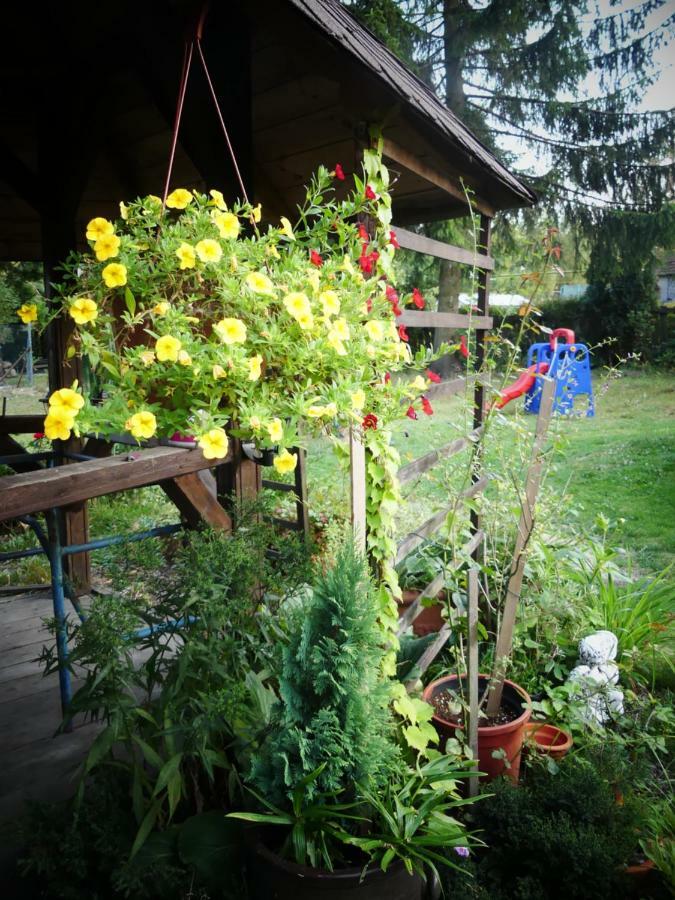 Venkovske Apartmany Tiche Pastviny Kamenicky Senov 외부 사진
